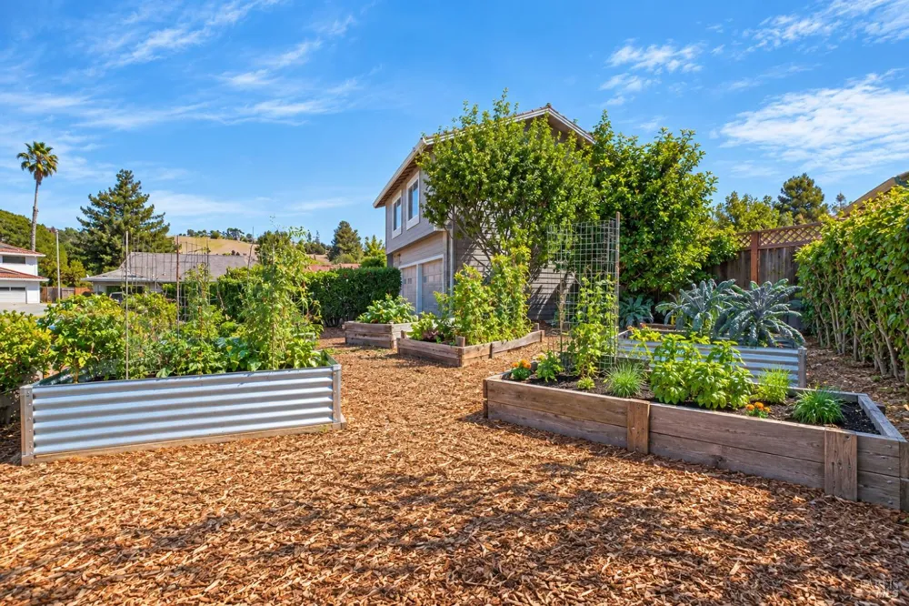 172 Clearview Court Petaluma, CA 94952