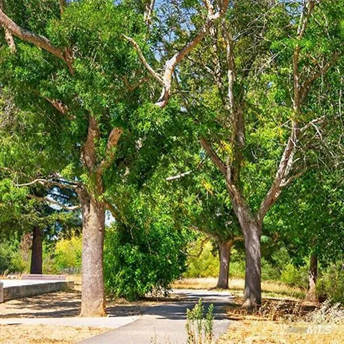 172 Clearview Court Petaluma, CA 94952