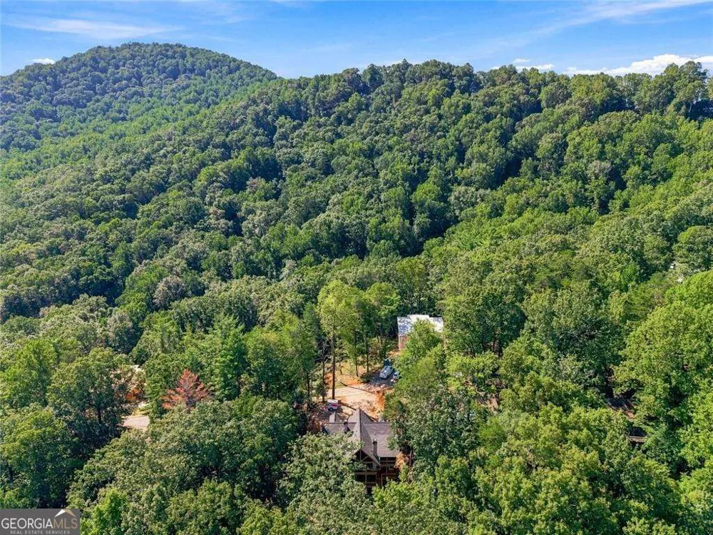 970 Mountain Oak RD Ellijay, GA 30536