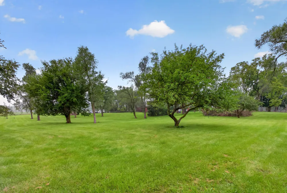 13545 E Austin Road Manchester, MI 48158