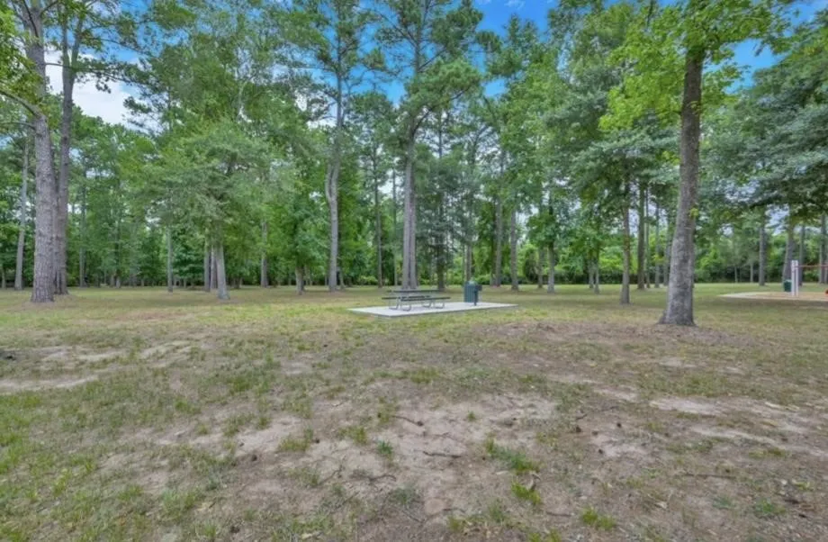20123 Glacier Falls Drive Tomball, TX 77375