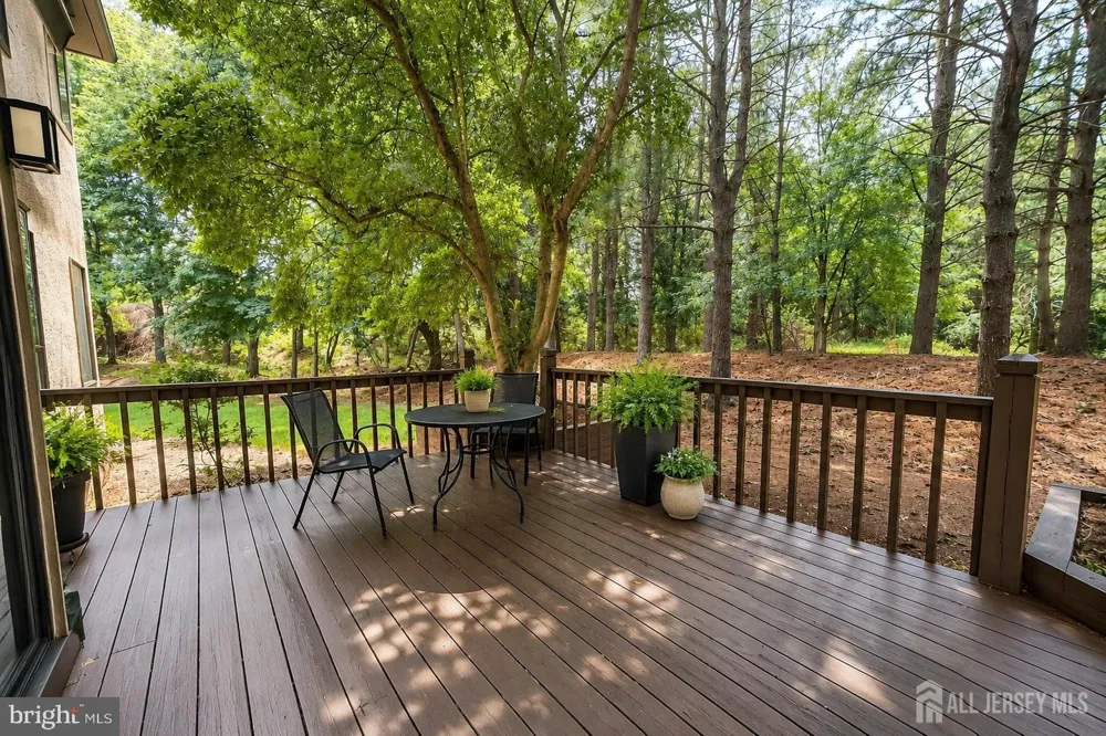 614 Sayre Drive Plainsboro, NJ 08540