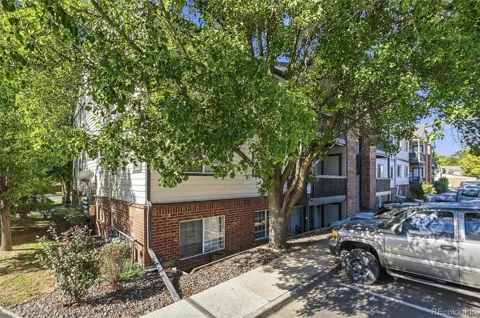 6310 Oak Street #308