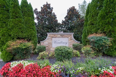 1138 Woodbury Falls Ct