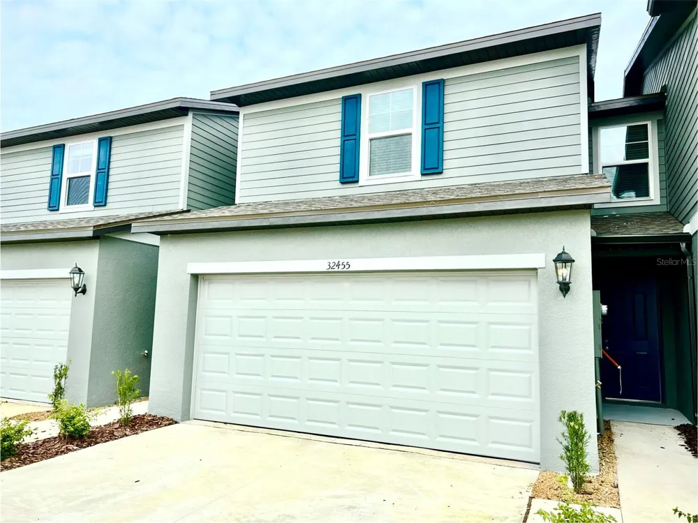 32455 LIMITLESS PLACE Wesley Chapel, FL 33545