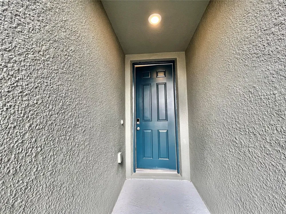32455 LIMITLESS PLACE Wesley Chapel, FL 33545