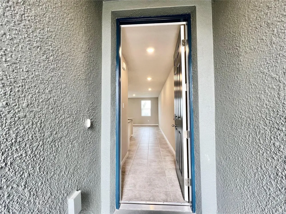 32455 LIMITLESS PLACE Wesley Chapel, FL 33545