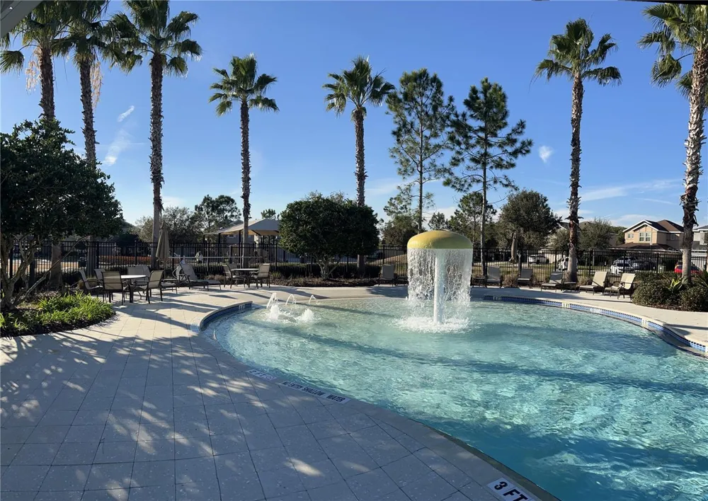 32455 LIMITLESS PLACE Wesley Chapel, FL 33545