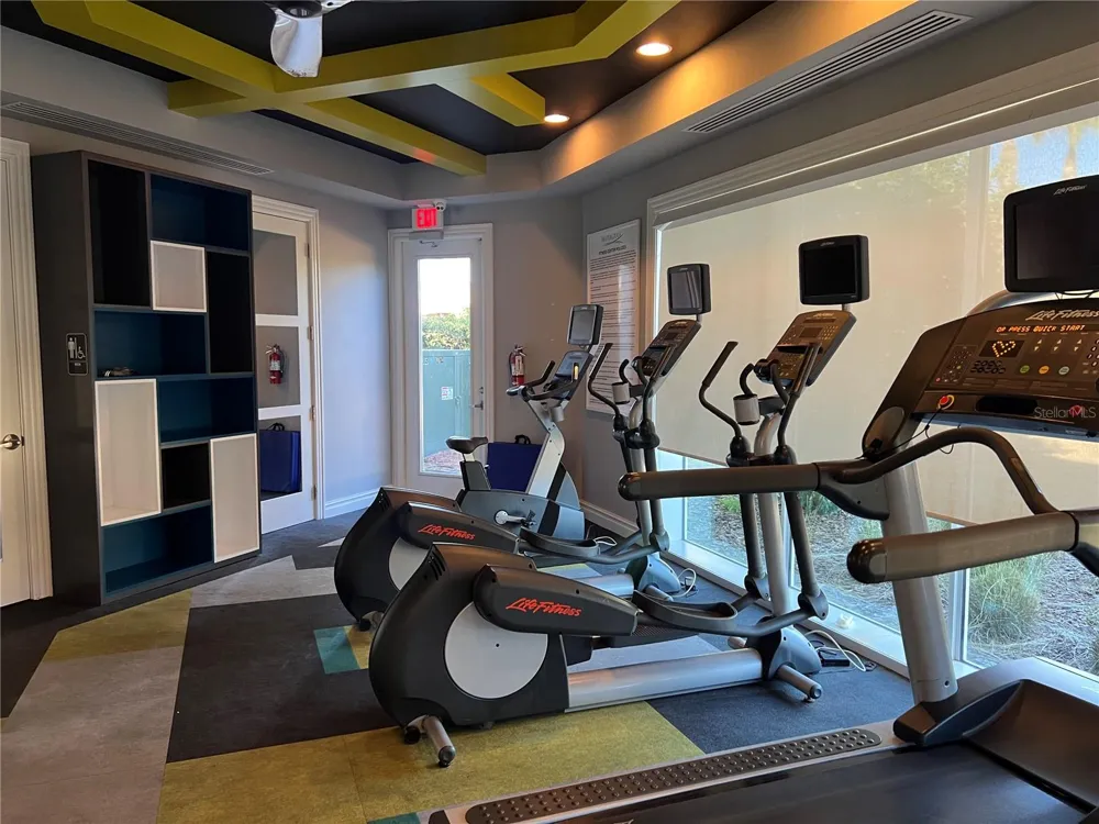 32455 LIMITLESS PLACE Wesley Chapel, FL 33545