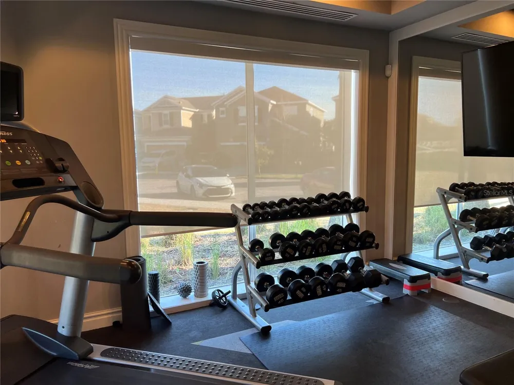 32455 LIMITLESS PLACE Wesley Chapel, FL 33545