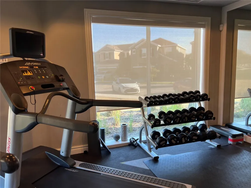 32455 LIMITLESS PLACE Wesley Chapel, FL 33545