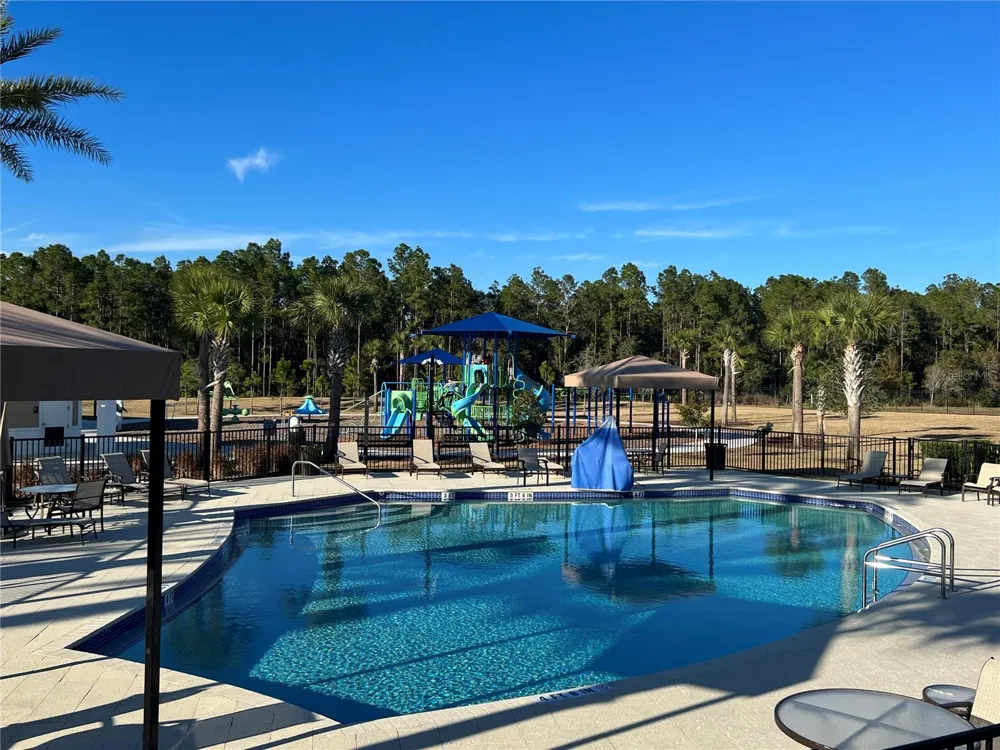 32455 LIMITLESS PLACE Wesley Chapel, FL 33545