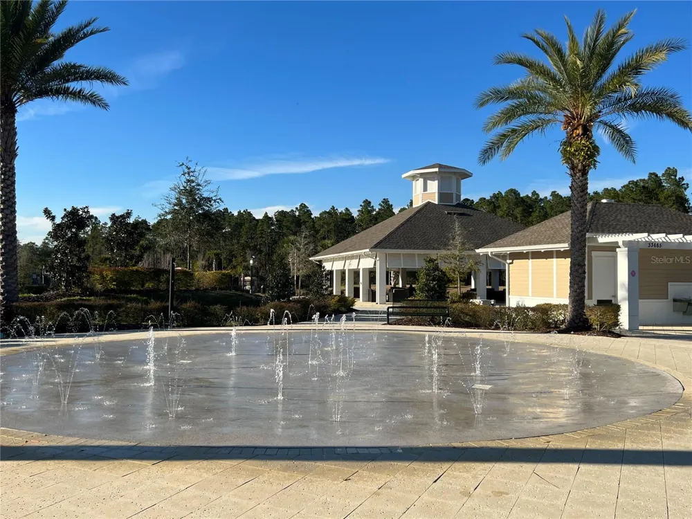 32455 LIMITLESS PLACE Wesley Chapel, FL 33545