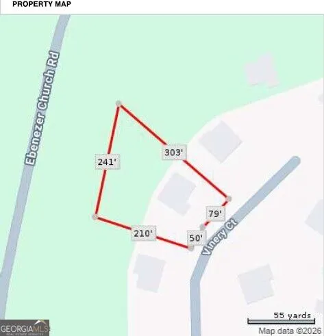 22 VINERY CT Sharpsburg, GA 30277