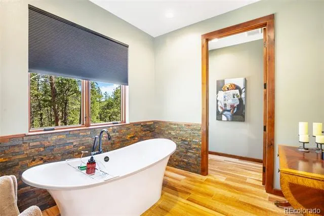 2754 County Rd 421 Florissant, CO 80816