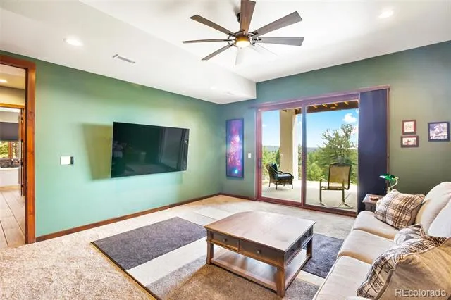 2754 County Rd 421 Florissant, CO 80816