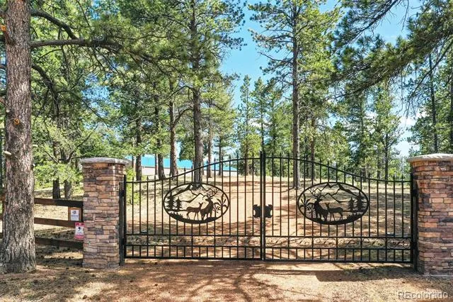 2754 County Rd 421 Florissant, CO 80816
