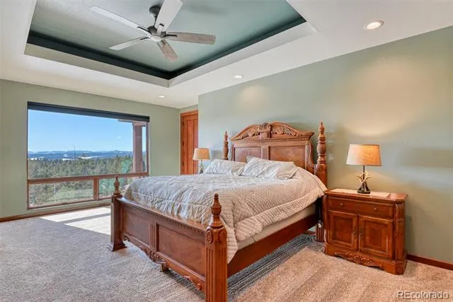 2754 County Rd 421 Florissant, CO 80816