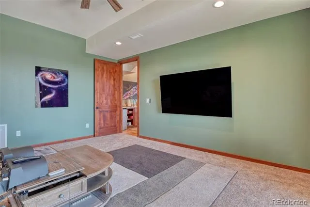 2754 County Rd 421 Florissant, CO 80816