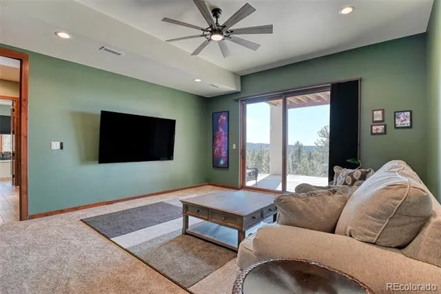 2754 County Rd 421 Florissant, CO 80816