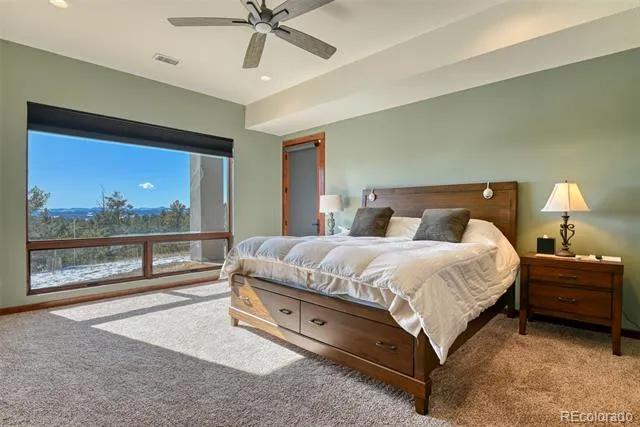 2754 County Rd 421 Florissant, CO 80816