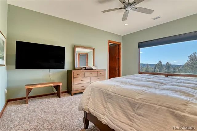2754 County Rd 421 Florissant, CO 80816