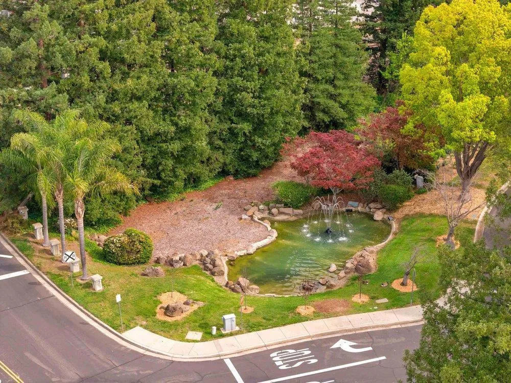 11501 Sunrise Spring Court Cupertino, CA 95014