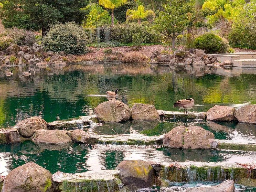 11501 Sunrise Spring Court Cupertino, CA 95014