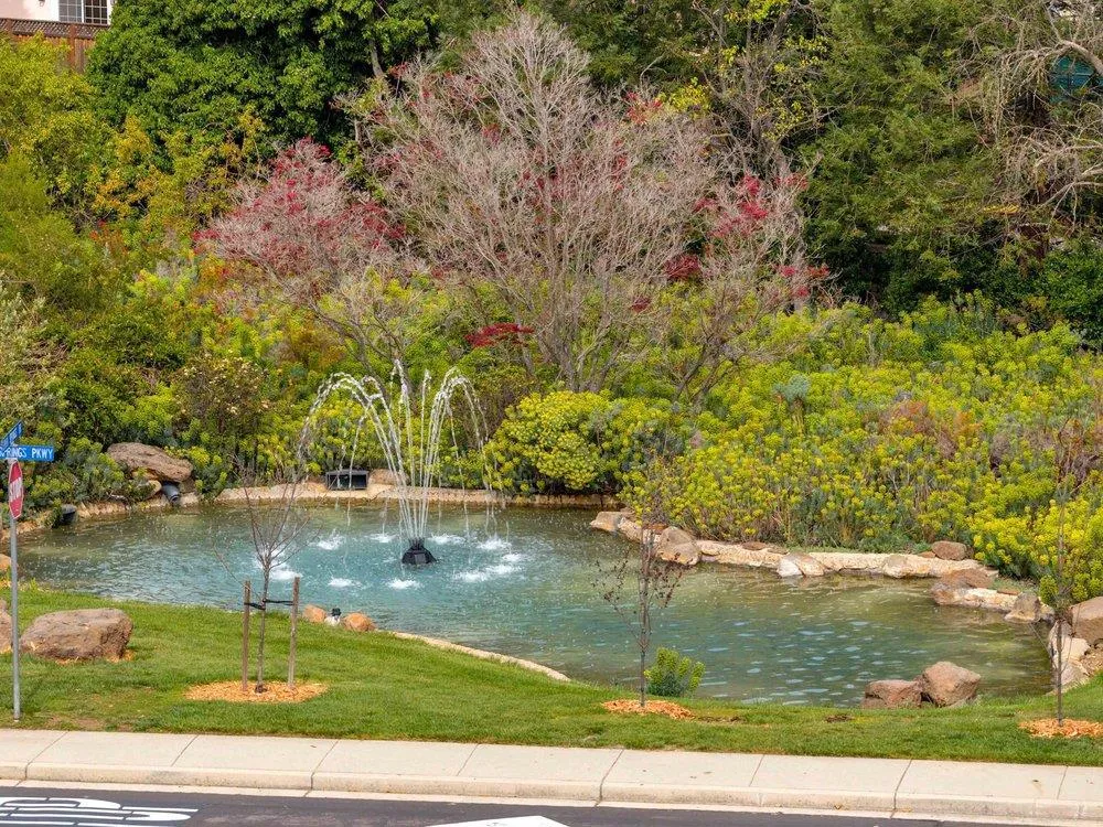 11501 Sunrise Spring Court Cupertino, CA 95014