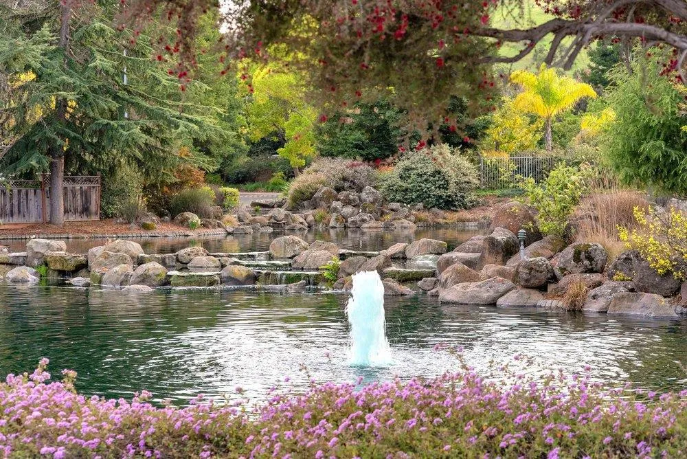 11501 Sunrise Spring Court Cupertino, CA 95014