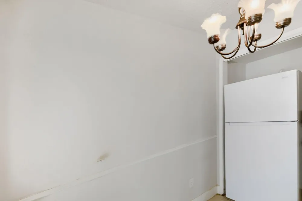 10101 S Gessner Road #409 Houston, TX 77071