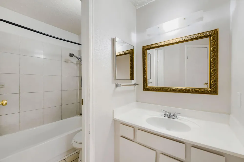 10101 S Gessner Road #409 Houston, TX 77071