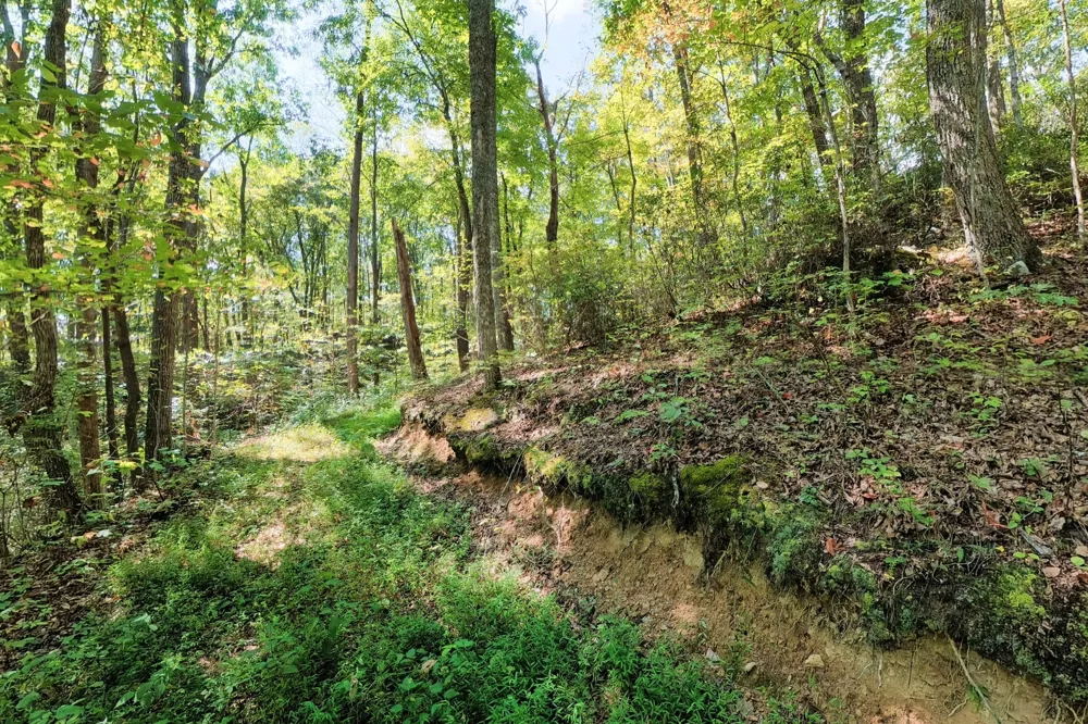 300 Laurel Way Crawford, TN 38554