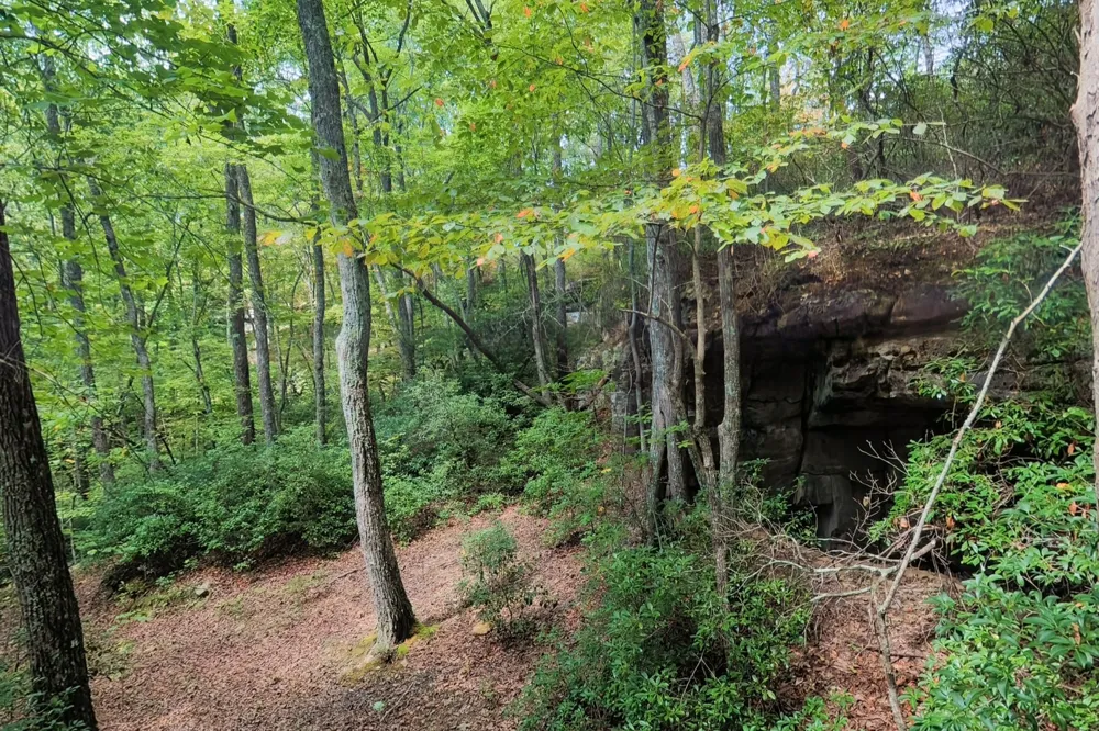 300 Laurel Way Crawford, TN 38554