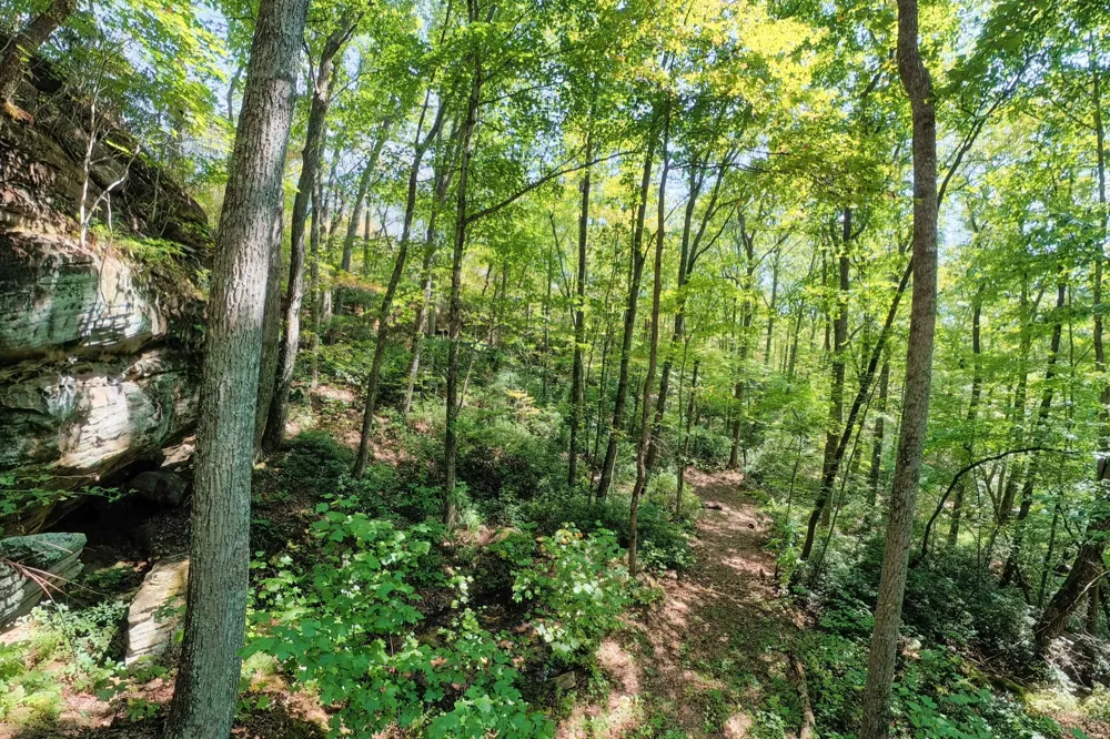 300 Laurel Way Crawford, TN 38554