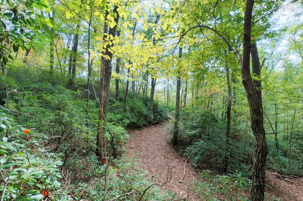 300 Laurel Way Crawford, TN 38554