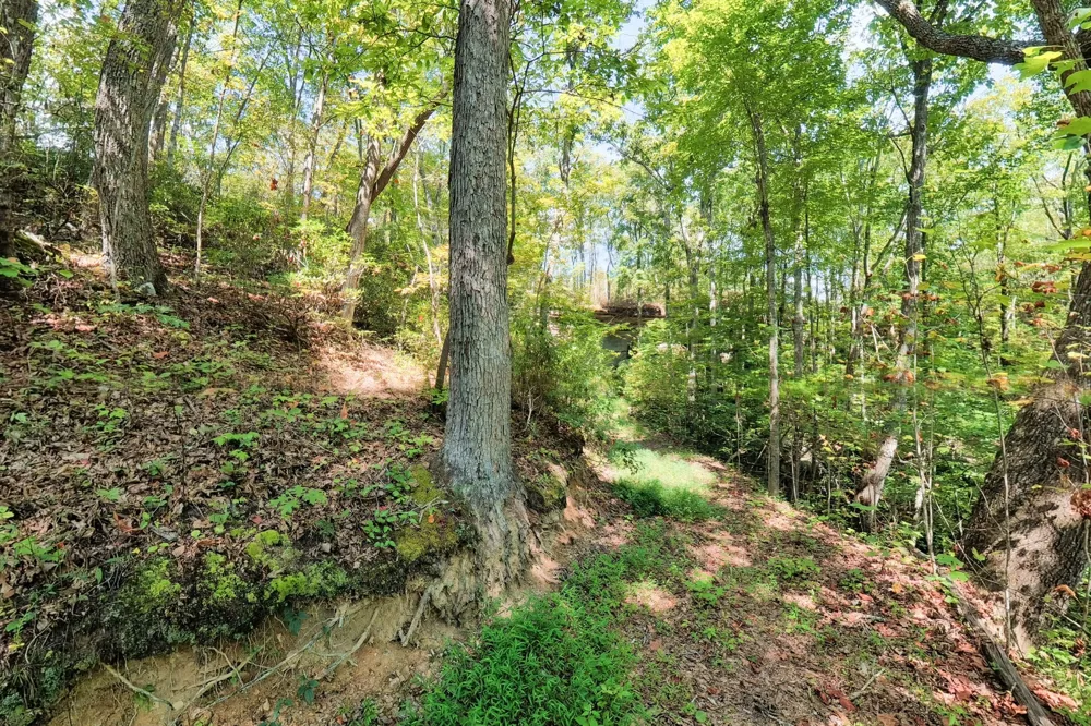 300 Laurel Way Crawford, TN 38554