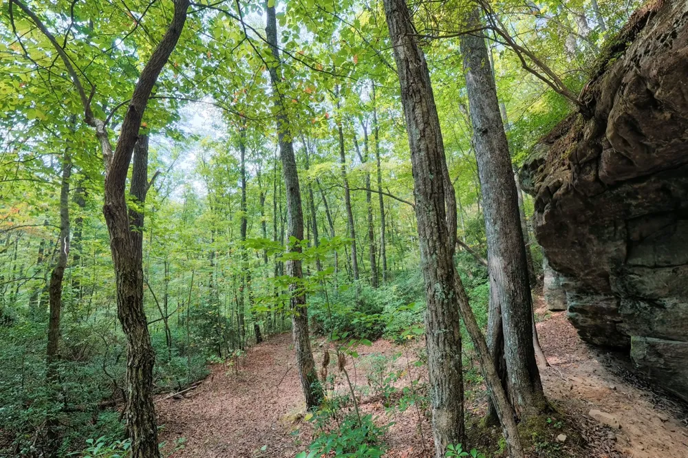 300 Laurel Way Crawford, TN 38554