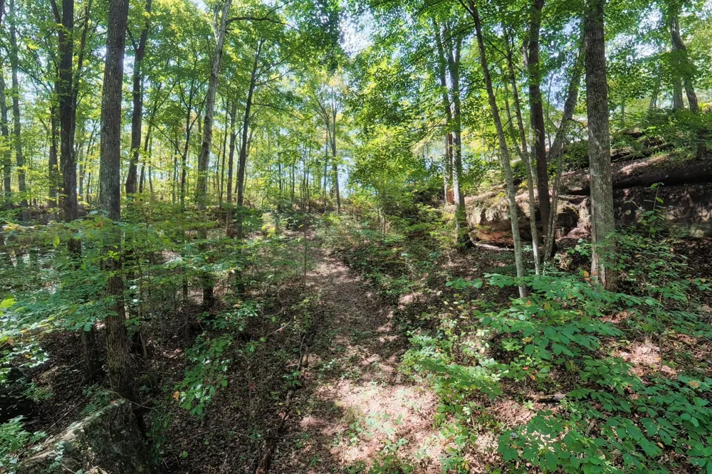 300 Laurel Way Crawford, TN 38554