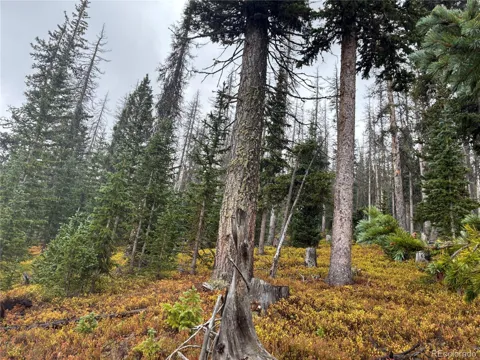 LOT 6539 Schlueter Road
