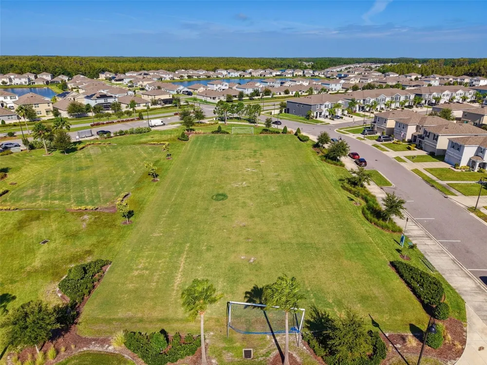 16189 GLOWING GROVE AVE Odessa, FL 33556