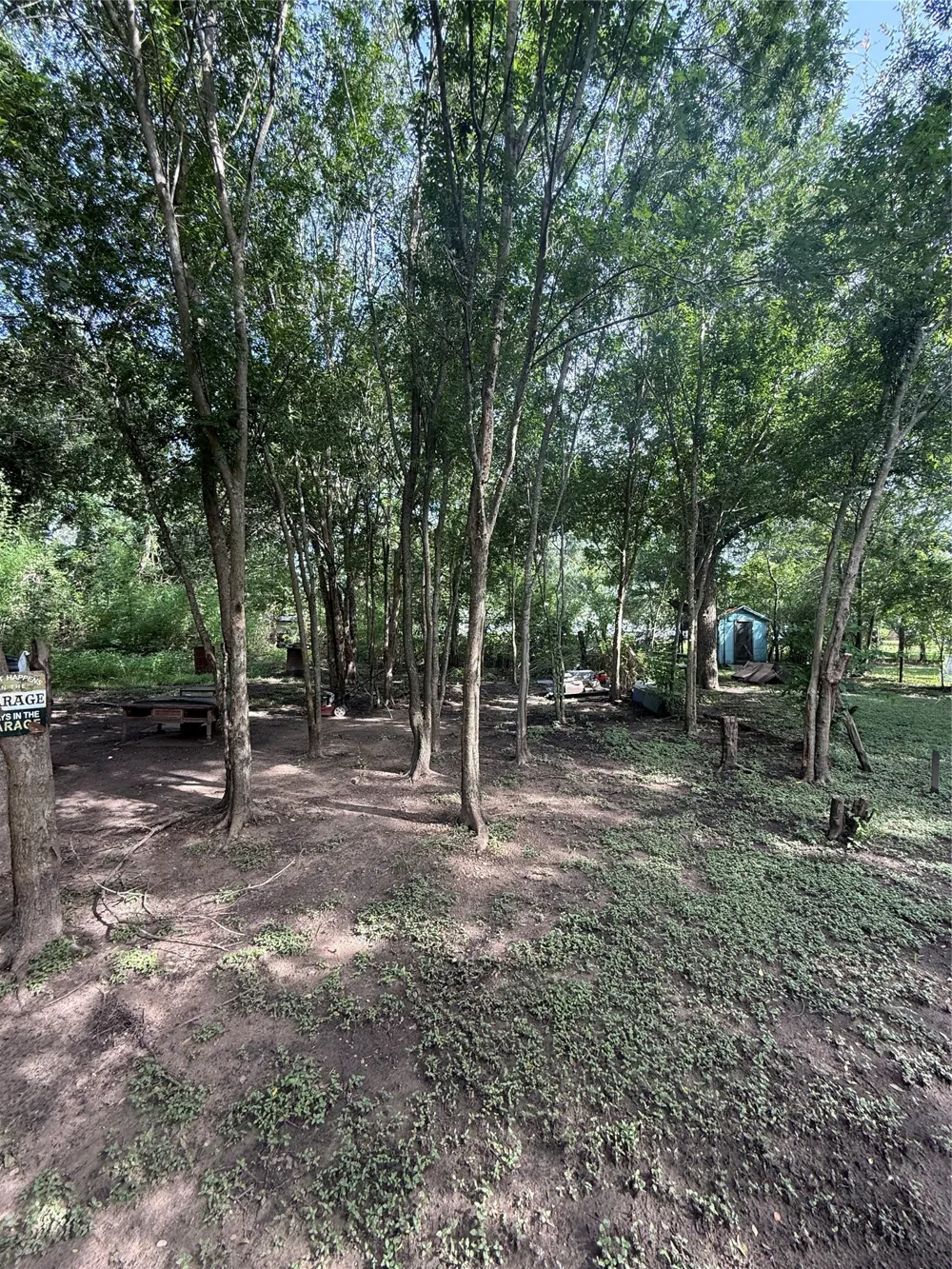 1226 Leake Street Navasota, TX 77868