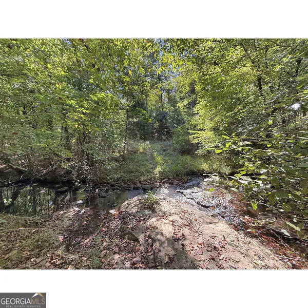 223 City Pond RD Barnesville, GA 30204