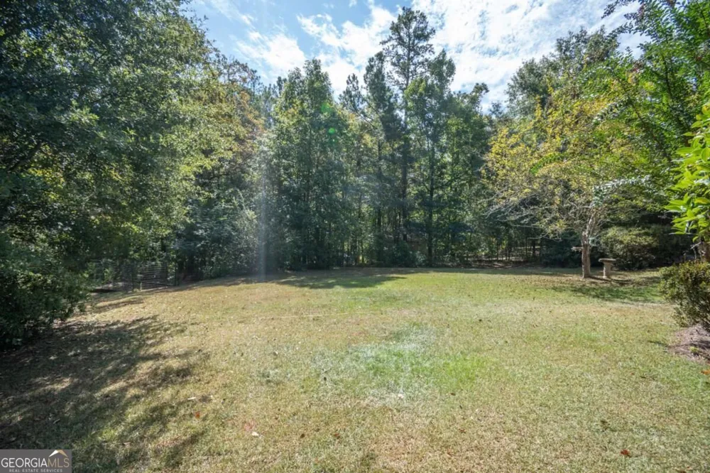 1250 Daandra DR Watkinsville, GA 30677
