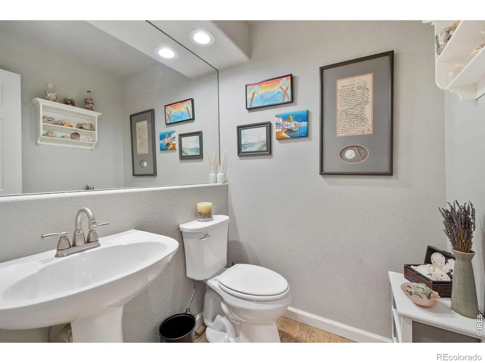 246 Habitat Circle Windsor, CO 80550