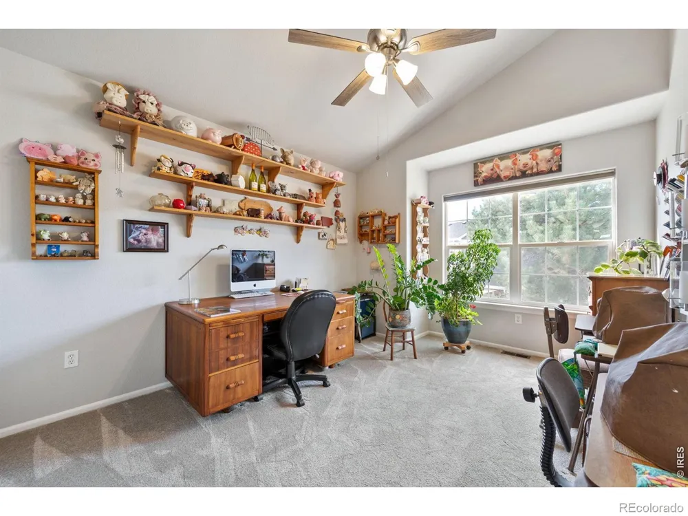 246 Habitat Circle Windsor, CO 80550