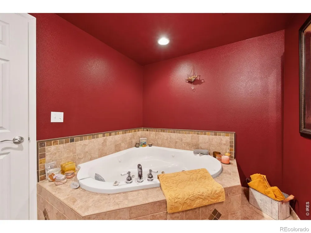 246 Habitat Circle Windsor, CO 80550