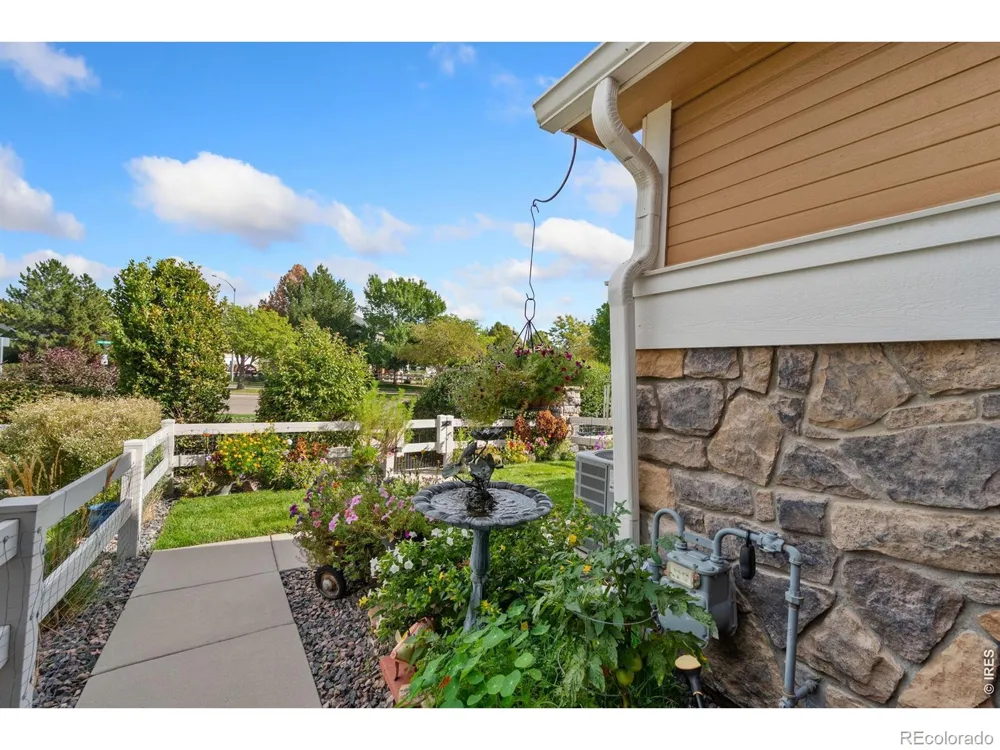 246 Habitat Circle Windsor, CO 80550