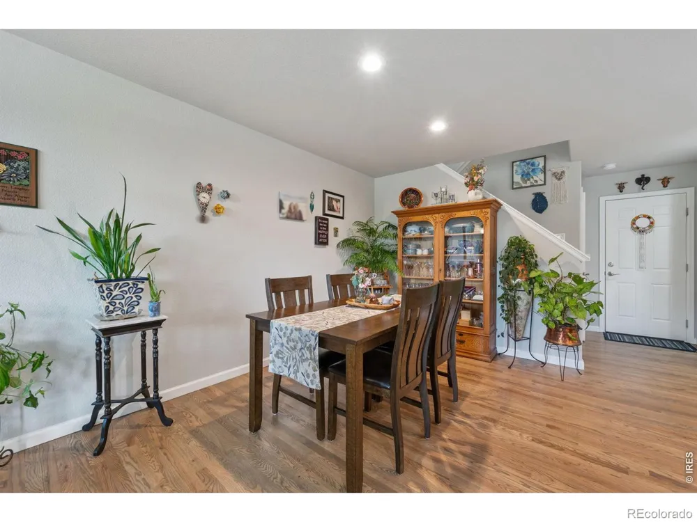246 Habitat Circle Windsor, CO 80550