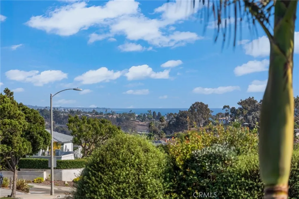 33261 Ocean Hill Dana Point, CA 92629